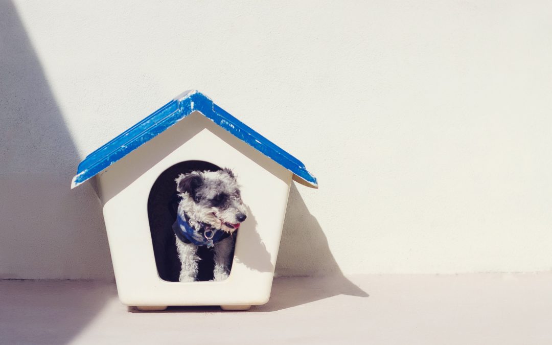 The Pros and Cons of Pets at Multi-Family Properties